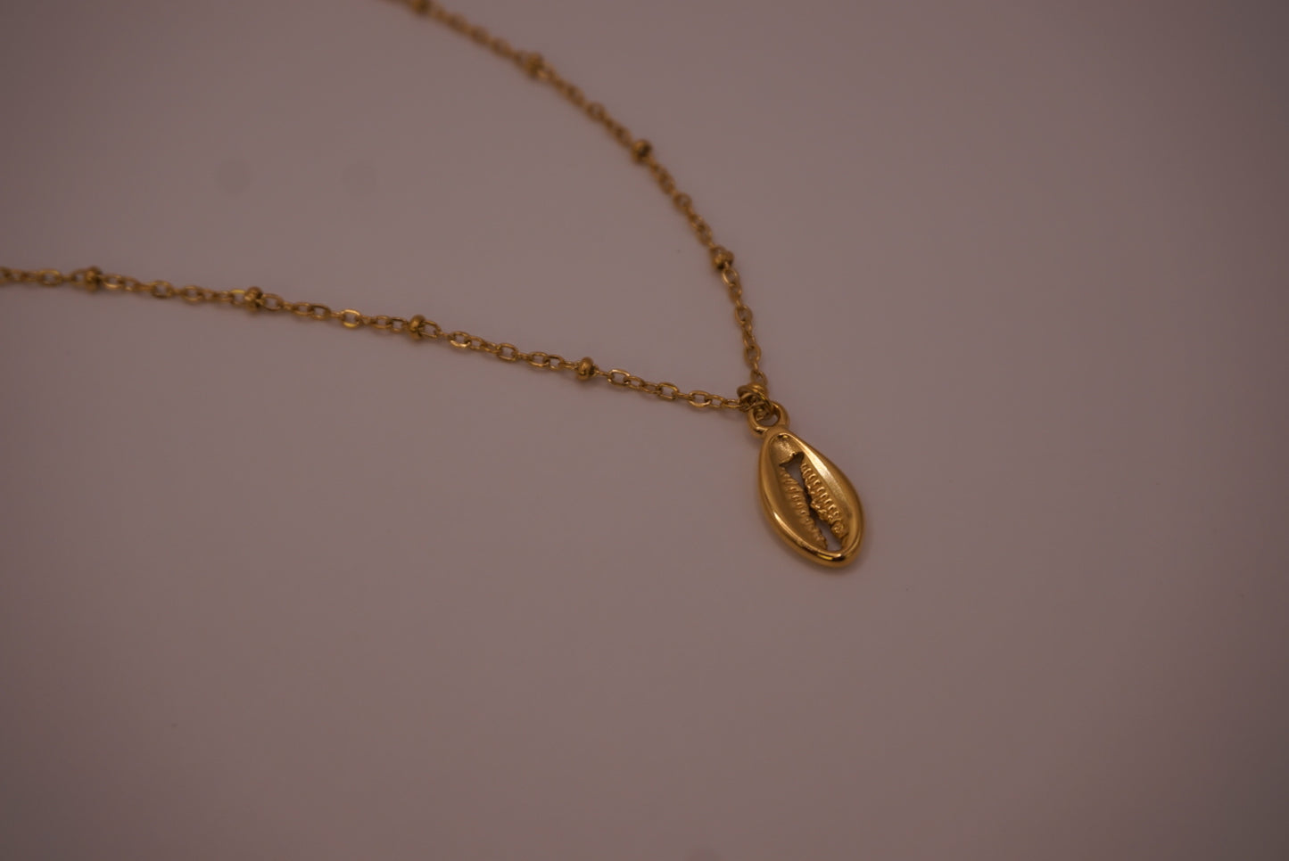 Cowrie Shell Necklace