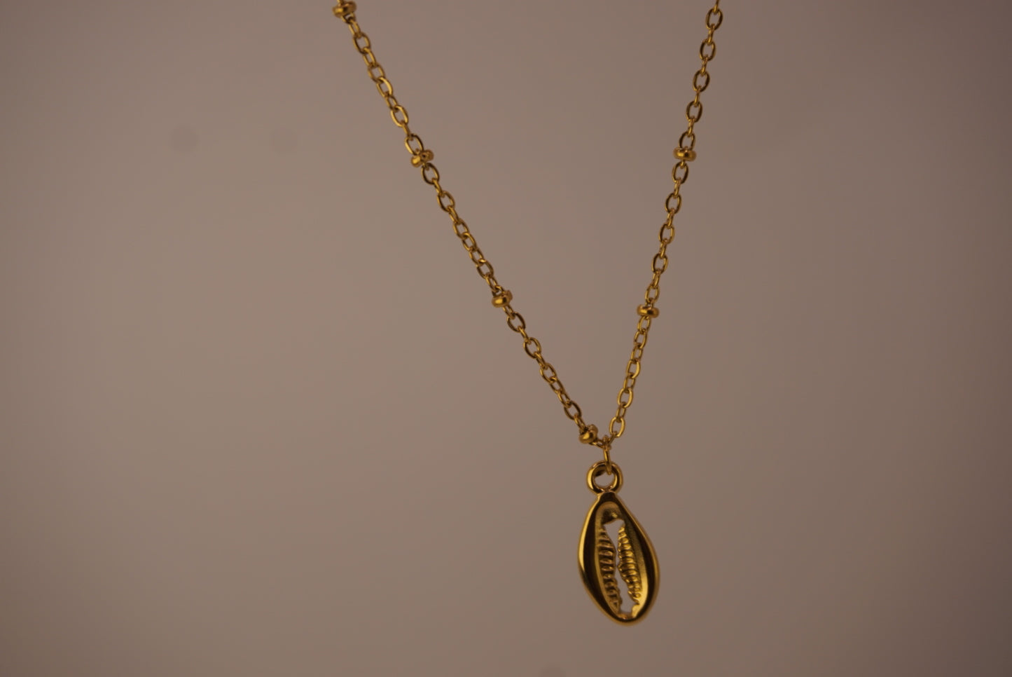 Cowrie Shell Necklace